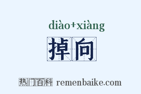 掉向是什么意思的图片